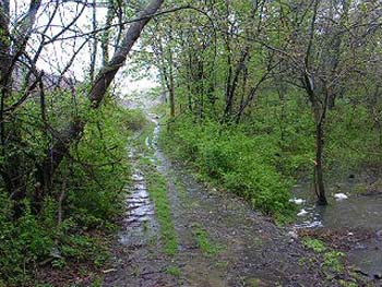 Flooding 051406 Landfill Leachate Flowing into the Little River 145