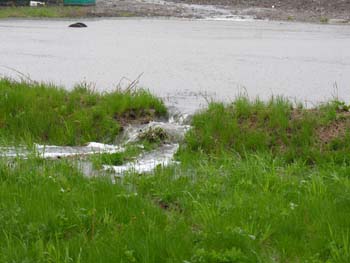 Landfill Flooding 051406 098