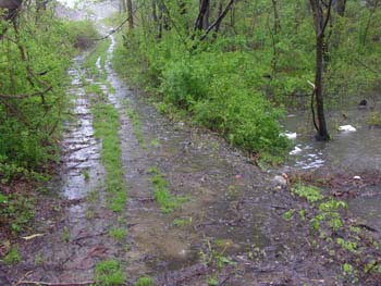 Landfill Flooding 051406 108